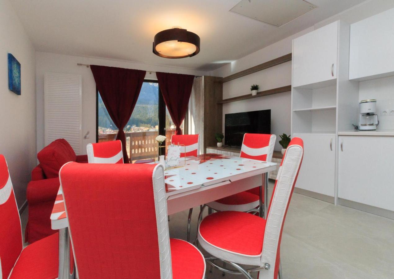 Stars & Mountain Apartment Busteni Exterior photo