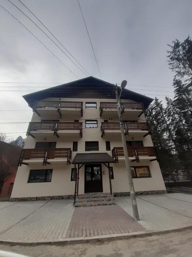 Stars & Mountain Apartment Busteni Exterior photo